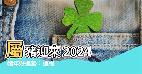 2024生肖運勢豬|【2024 豬】速看！屬豬人2024年運勢大全：愛情、財運、吉凶早。